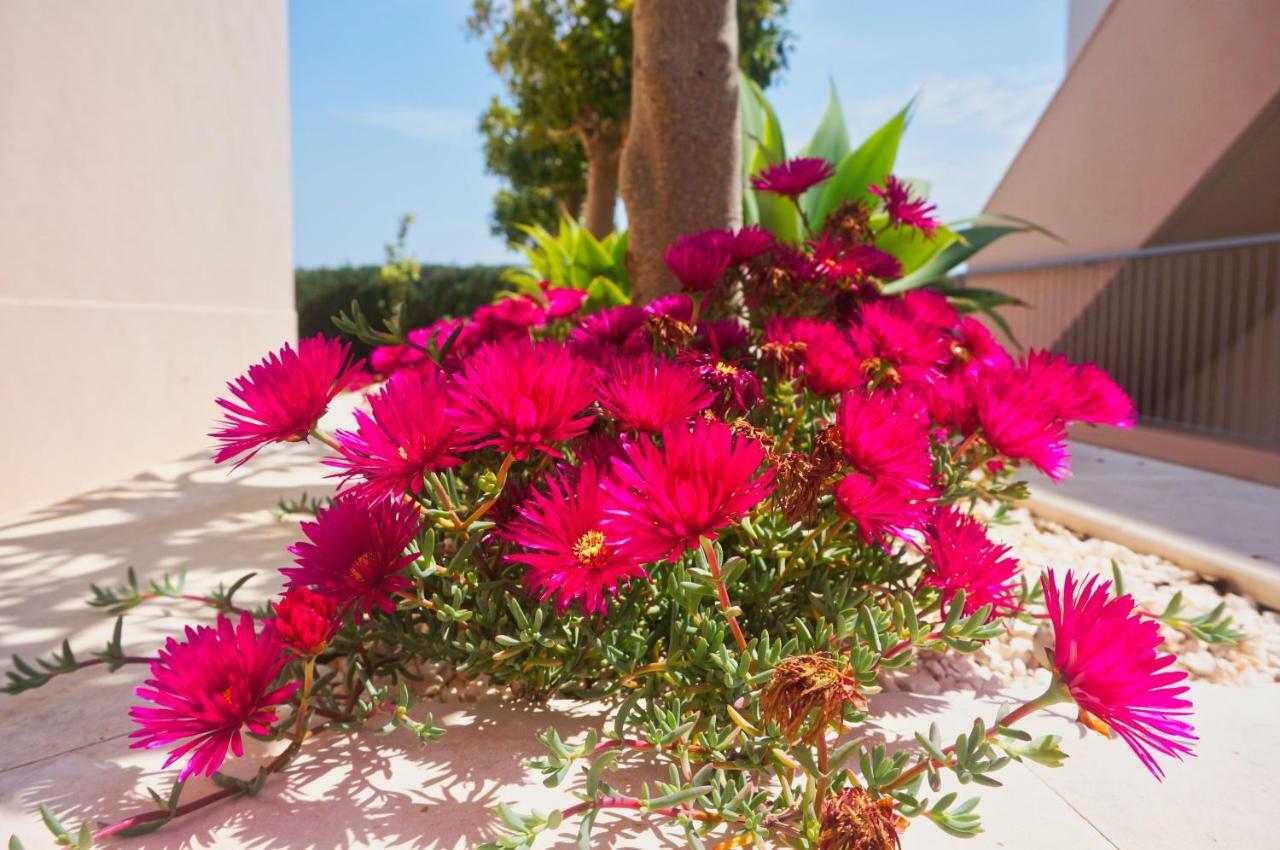 Casa Laranja, Aromas Burgau Apartment Luaran gambar